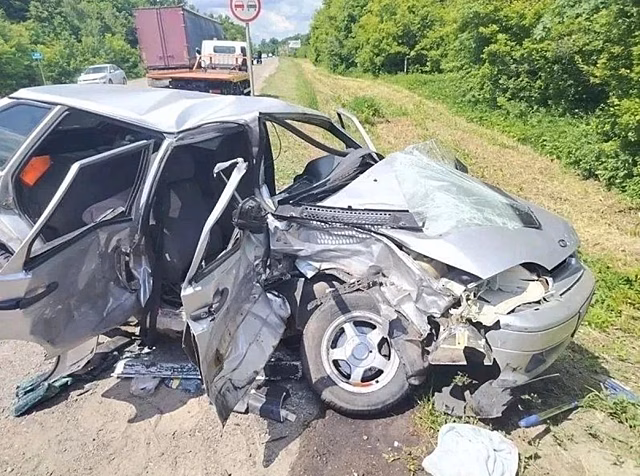 Шестилетняя девочка и семилетний мальчик пострадали в аварии под Воронежем