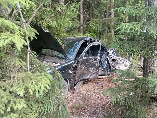 В Оричевском районе «Приора» вылетела с дороги и врезалась в дерево