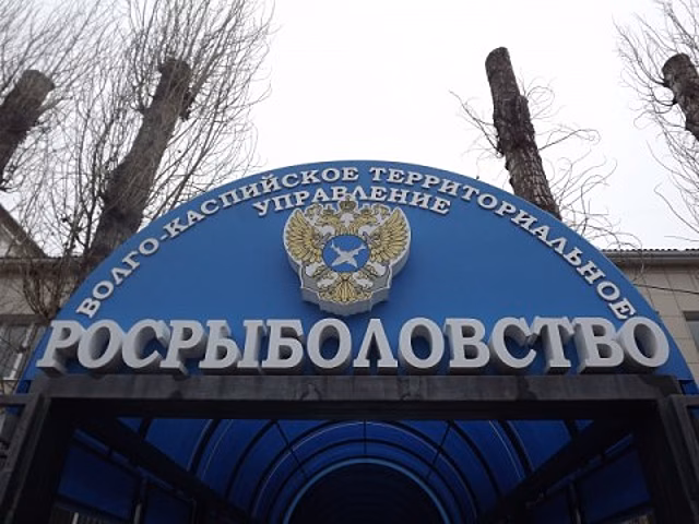 В Икрянинском районе обнаружили еще один случай замора рыбы
