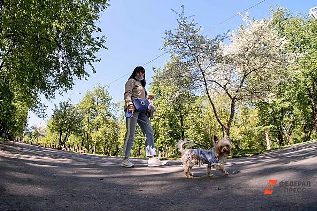 Екатеринбуржцы собрали 3800 подписей против забора в парке