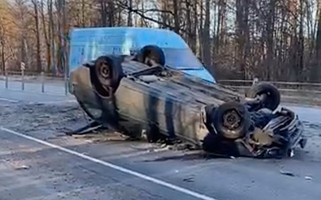 Под Коломной дерево рухнуло на автомобиль рязанцев прямо во время движения