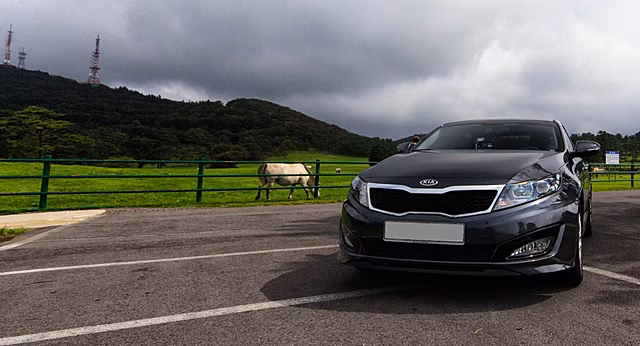 На рынке РФ появились 240-сильные седаны Kia K5 китайской сборки