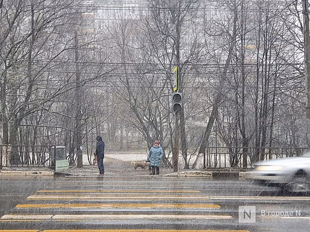 8-летнюю девочку сбили на «зебре» в Нижнем Новгороде