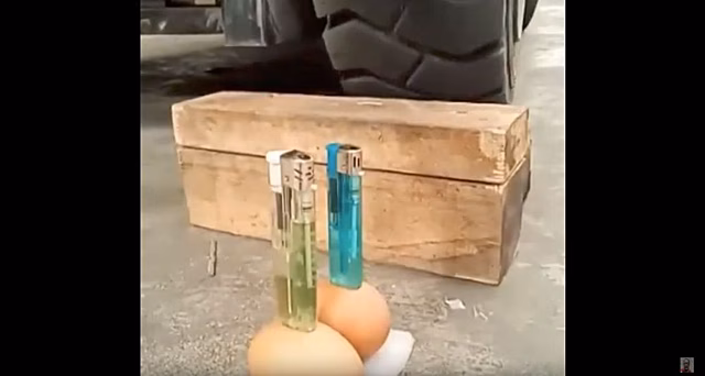 Когда точность движений уже не изумляет, а пугает — Видео