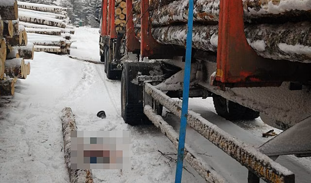 Гибель водителя лесовоза в Нижегородской области обернулась уголовным делом