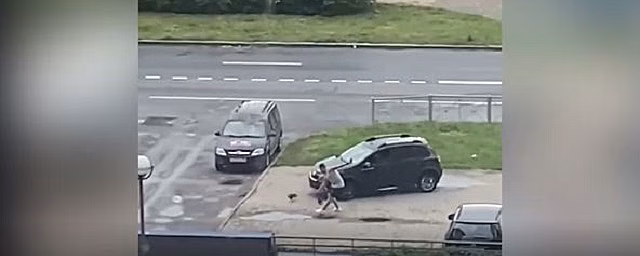 В Петербурге водитель Renault пытался переехать пешехода и двух чихуахуа