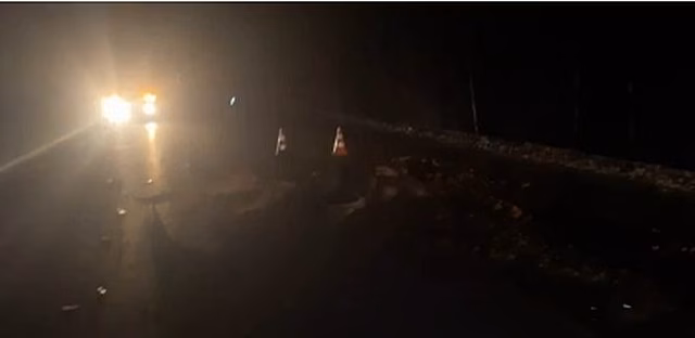 Иномарка сбила лося в Нижегородской области: пассажирка ранена, животное погибло