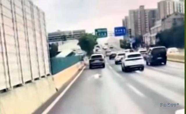 Лобовое столкновение автомобилей попало на видео в КНР