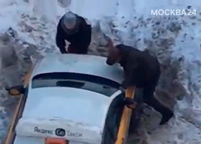 Пассажирка вытолкала такси из сугроба и попала на видео