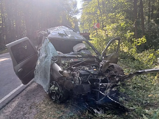 Авария на трассе Бобровского района унесла жизни многодетных родителей