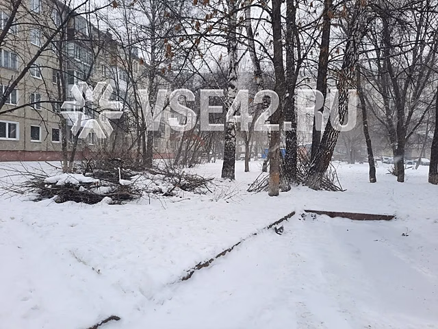 Кемеровчанка разгневалась лежащей у жилого дома несколько месяцев огромной кучей веток