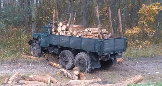 СК ищет свидетелей наезда мусоровоза на пенсионера в Витебске