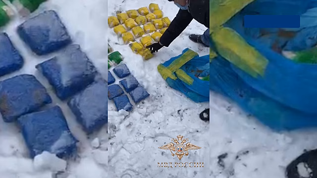 В Новосибирск перегнали автомобиль с 29 килограммами наркотиков