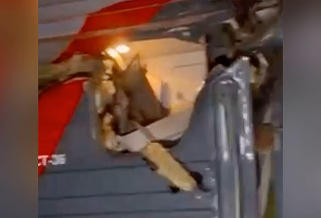 Появилось видео со столкнувшимся с автокраном в российском регионе поездом