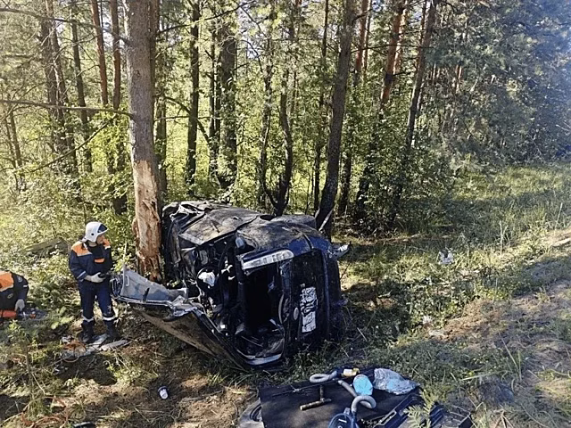 Под Брянском водитель Ford разбился об дерево
