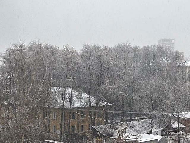 Первый снег выпал в Нижнем Новгороде 15 ноября: публикуем фото