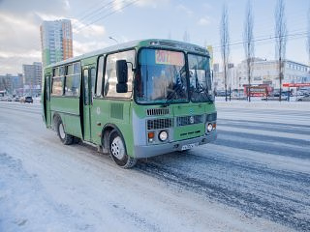 В России после предложения депутатов Башкирии могут ужесточить деятельность нелегальных перевозчиков