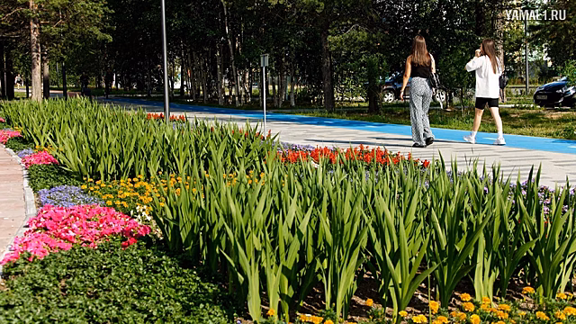 Горожане выберут лучшие проекты, которые будут воплощены в жизнь в Ноябрьске