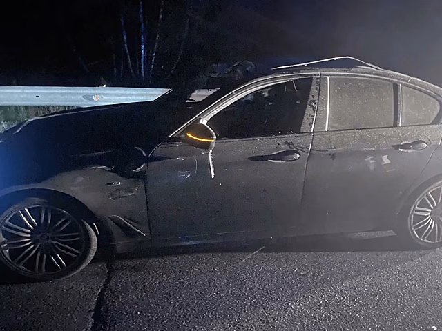 В Кузбассе водитель BMW сбил лося