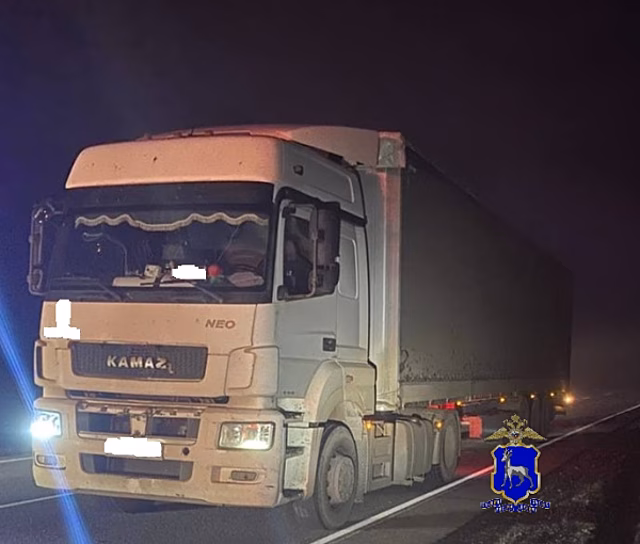 В Сызранском районе на туманной трассе мужчину насмерть сбил КамАЗ