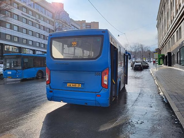 Пассажирский автобус вылетел на тротуар во Владивостоке: все подробности