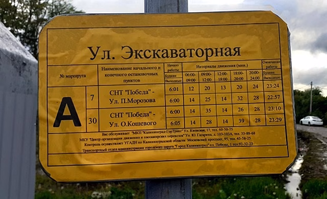 «Если не нормализуют график, начнём бить камнями стёкла»: что возмущает калининградцев в работе автобусов