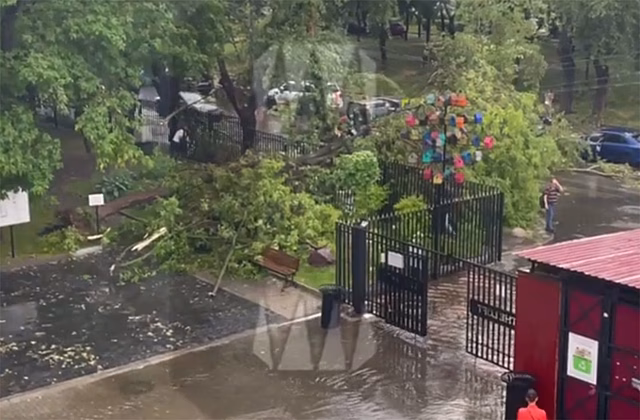 Последствия урагана в Москве попали на видео