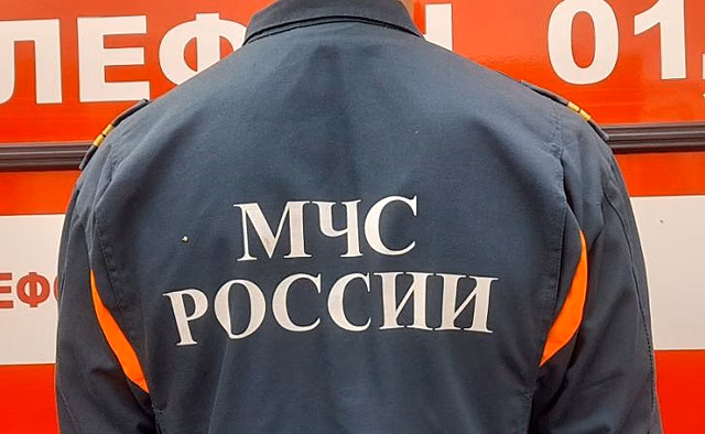 В Курской области сгорел автомобиль «Ситроен»