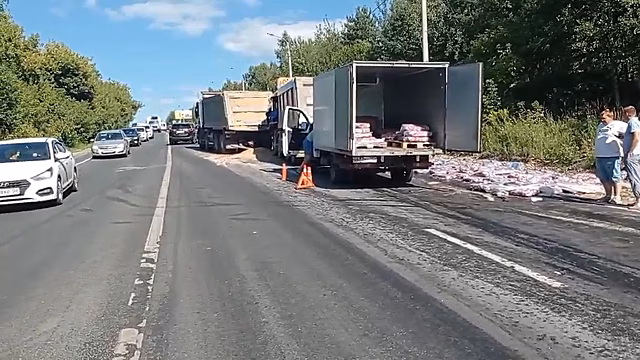 Мясные туши завалили обочину в Сартакове после ДТП
