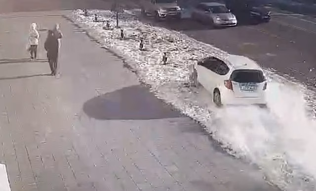 В Благовещенске автомобилистка снесла светильники возле здания мэрии и попала на видео