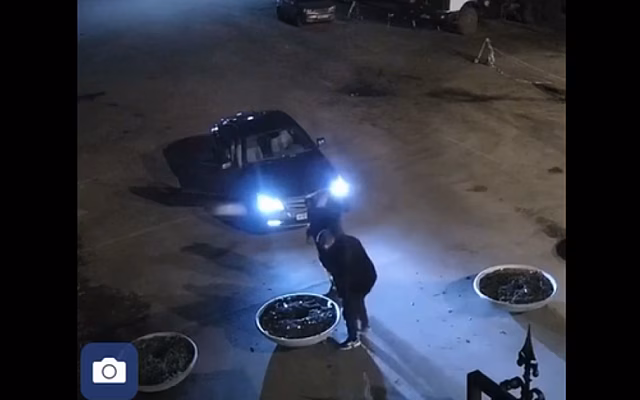 В Рязани оштрафовали водителя, прокатившегося на Mercedes по Лесопарку