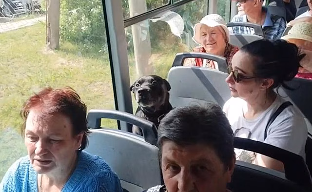 Курянка посадила свою собаку на сиденье в переполненном автобусе
