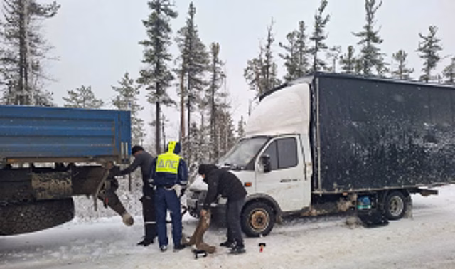 В Ханты-Мансийском автономном округе - Югре госавтоинспекторы пришли на помощь водителю сломавшегося автомобиля