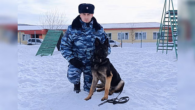 В Магадане служебная собака по кличке Беркут помогла полицейским раскрыть угон иномарки