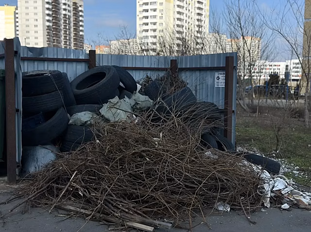 Горы веток и шин вырастают в Суворовском микрорайоне Ростова