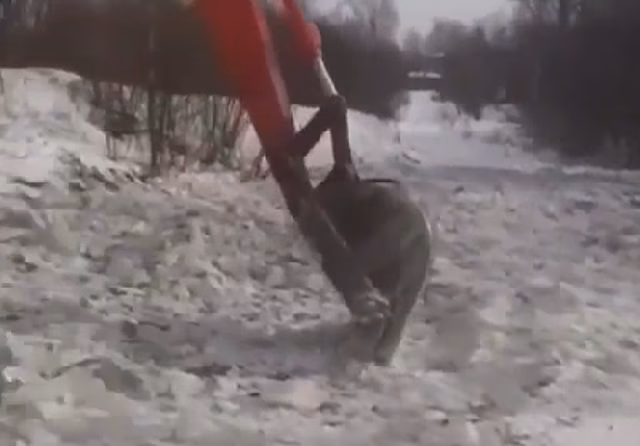 «А ведь ещё не весна»: жители Райчихинска жалуются на затопленную дорогу