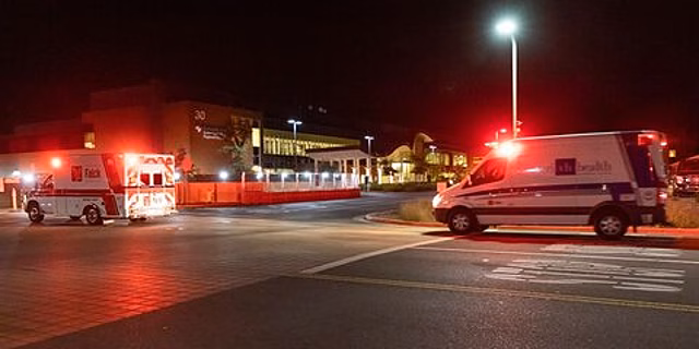 В Калифорнии в ДТП с грузовиком погибли не менее 12 человек