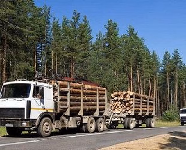 В Лужском районе Ленобласти жители 5 деревень могут остаться без дорог