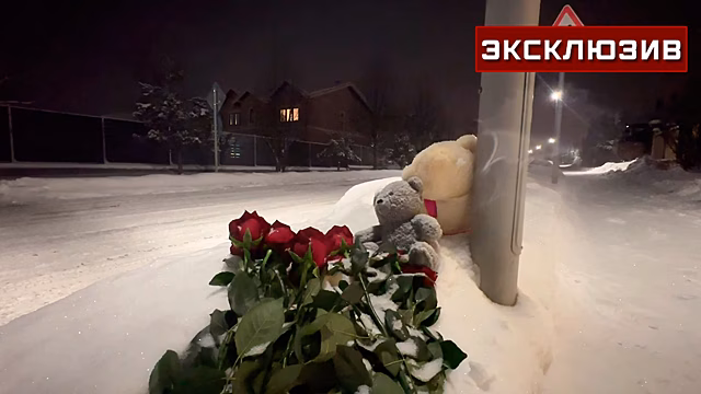 Горожане несут игрушки и цветы к месту гибели ребенка в Новой Москве