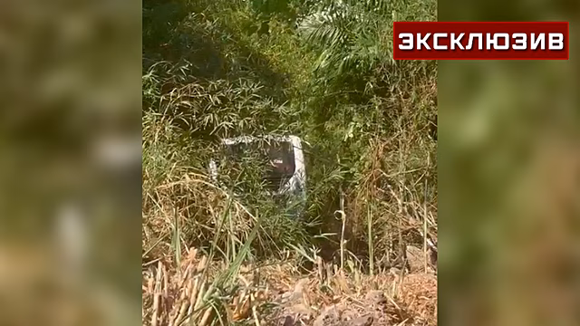 Двое россиян находились в автобусе, слетевшем с горы в Таиланде