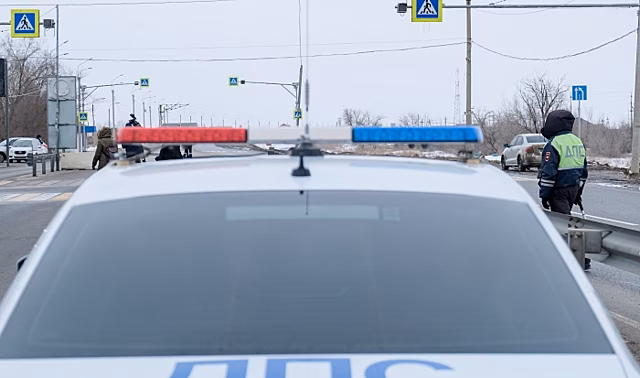 В автомобиле жительницы Волгограда служебная собака нашла наркотики