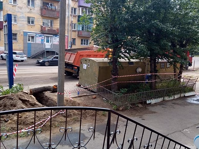 Деревья спиливают в центре Читы - очевидцы