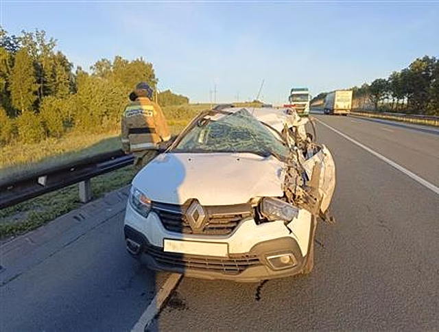В Исаклинском районе лоб в лоб столкнулись Renault Sandero и КамАЗ Kompas, есть пострадавшие