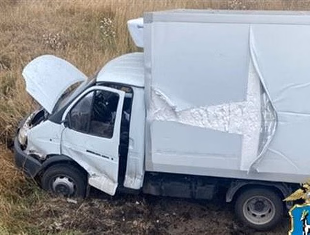 Полицейским из Самарской области пришлось гоняться за угонщиком "Газели"