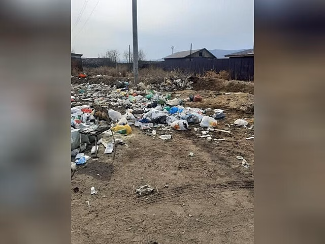 Гренишин поручил отработать уборку мусора «в ручном режиме»