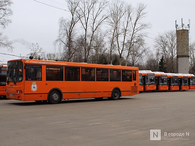 Названы самые популярные автобусные маршруты месяца в Нижнем Новгороде