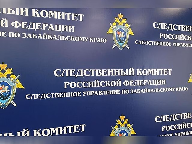 Бастрыкин заинтересовался аварийным мостом в поселке Давенда