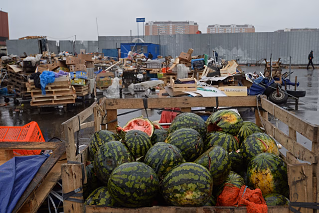 Арбуз не при чём. Причины смертельного отравления в московской семье под вопросом