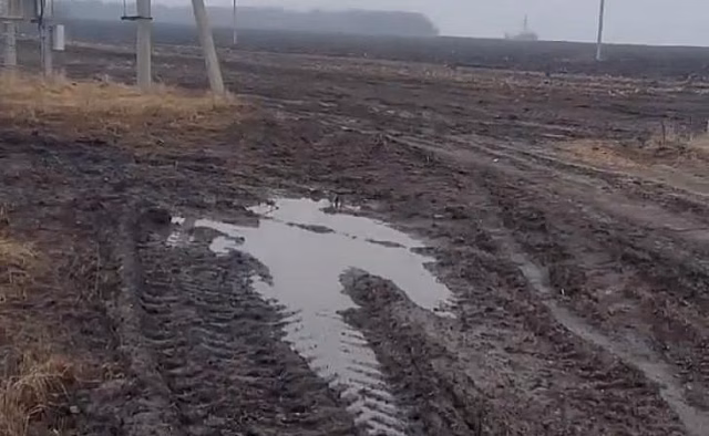 Жители х. Красная Новь в Курской области жалуются, что дорогу не делают уже 20 лет