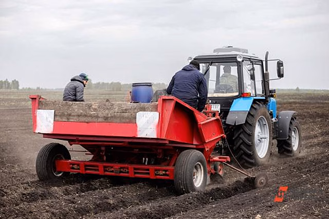 В почве Гурьевского района Калининградской области обнаружили токсин